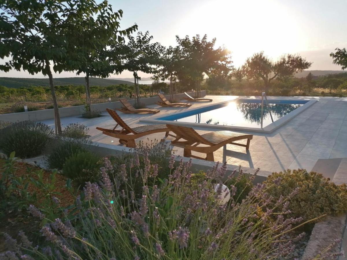 Villa Jelena Zadar Eksteriør bilde